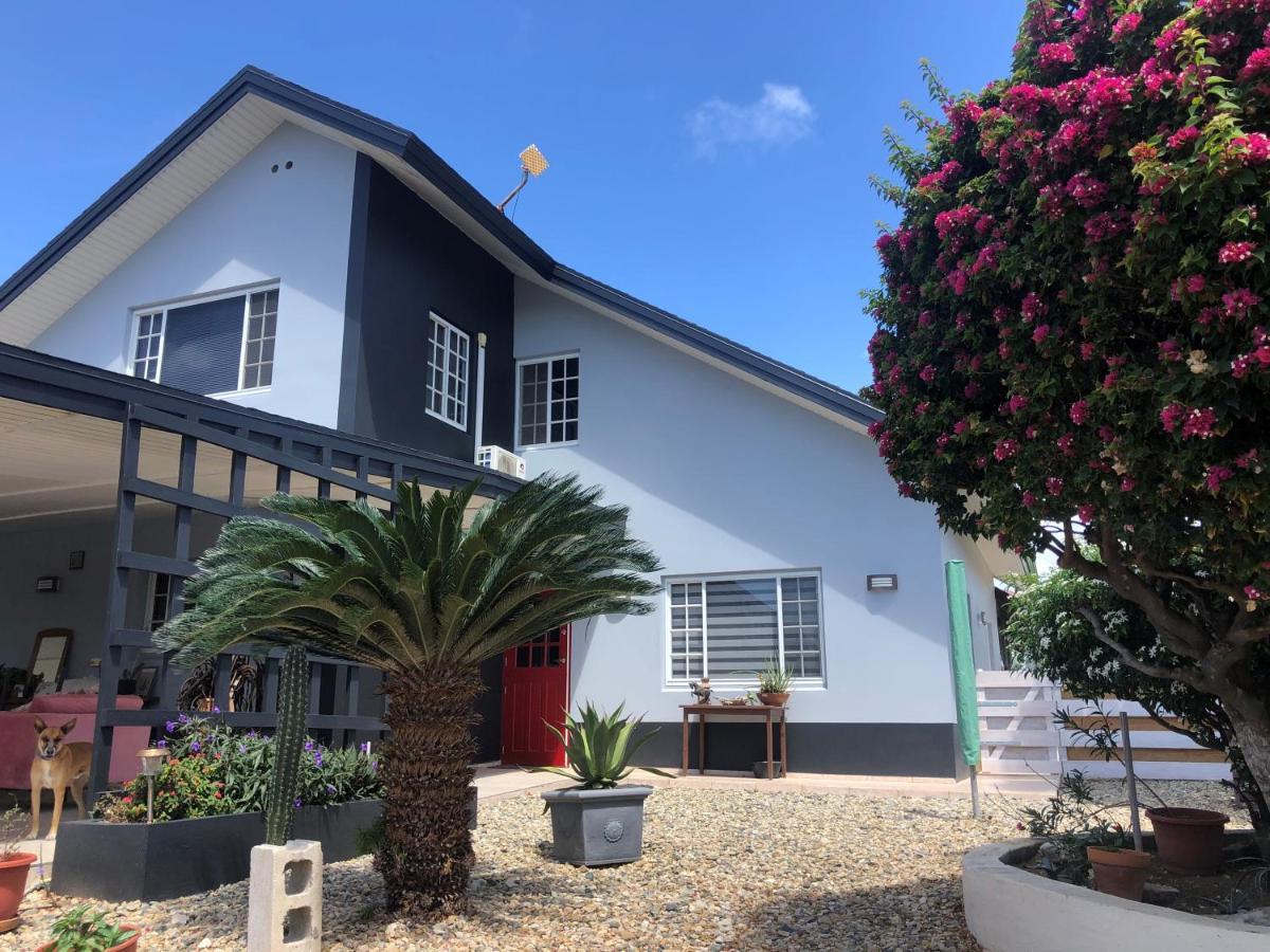Palmhouse Apartments Aruba 1- 4 Persons Savaneta Zewnętrze zdjęcie