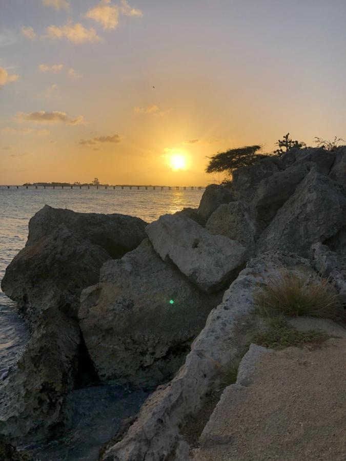Palmhouse Apartments Aruba 1- 4 Persons Savaneta Zewnętrze zdjęcie