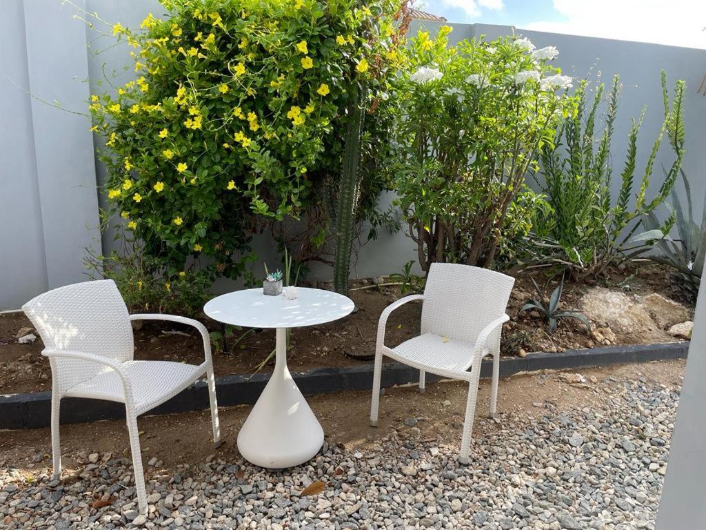 Palmhouse Apartments Aruba 1- 4 Persons Savaneta Zewnętrze zdjęcie