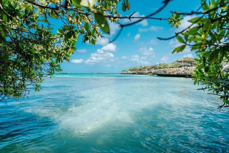 Palmhouse Apartments Aruba 1- 4 Persons Savaneta Zewnętrze zdjęcie