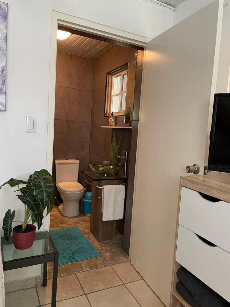Palmhouse Apartments Aruba 1- 4 Persons Savaneta Zewnętrze zdjęcie