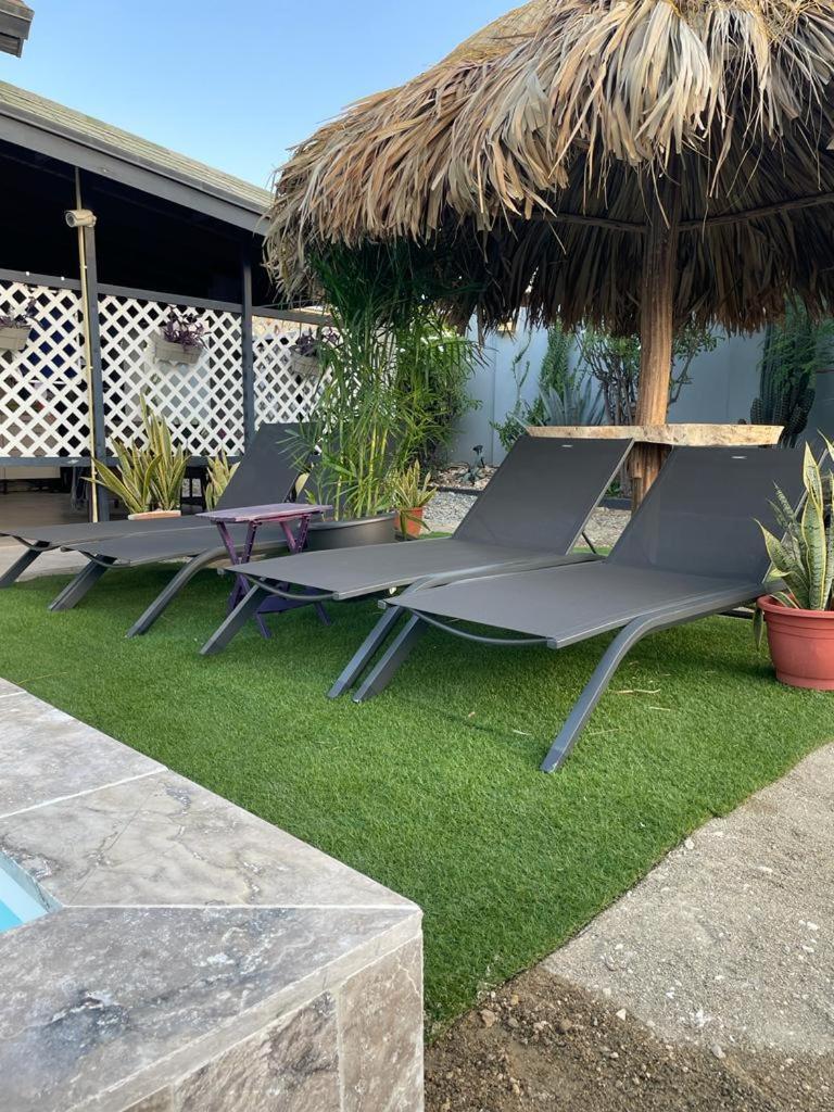 Palmhouse Apartments Aruba 1- 4 Persons Savaneta Zewnętrze zdjęcie
