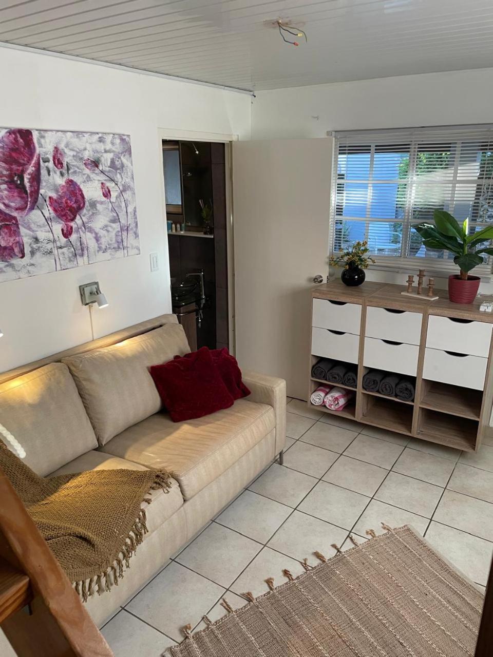 Palmhouse Apartments Aruba 1- 4 Persons Savaneta Zewnętrze zdjęcie