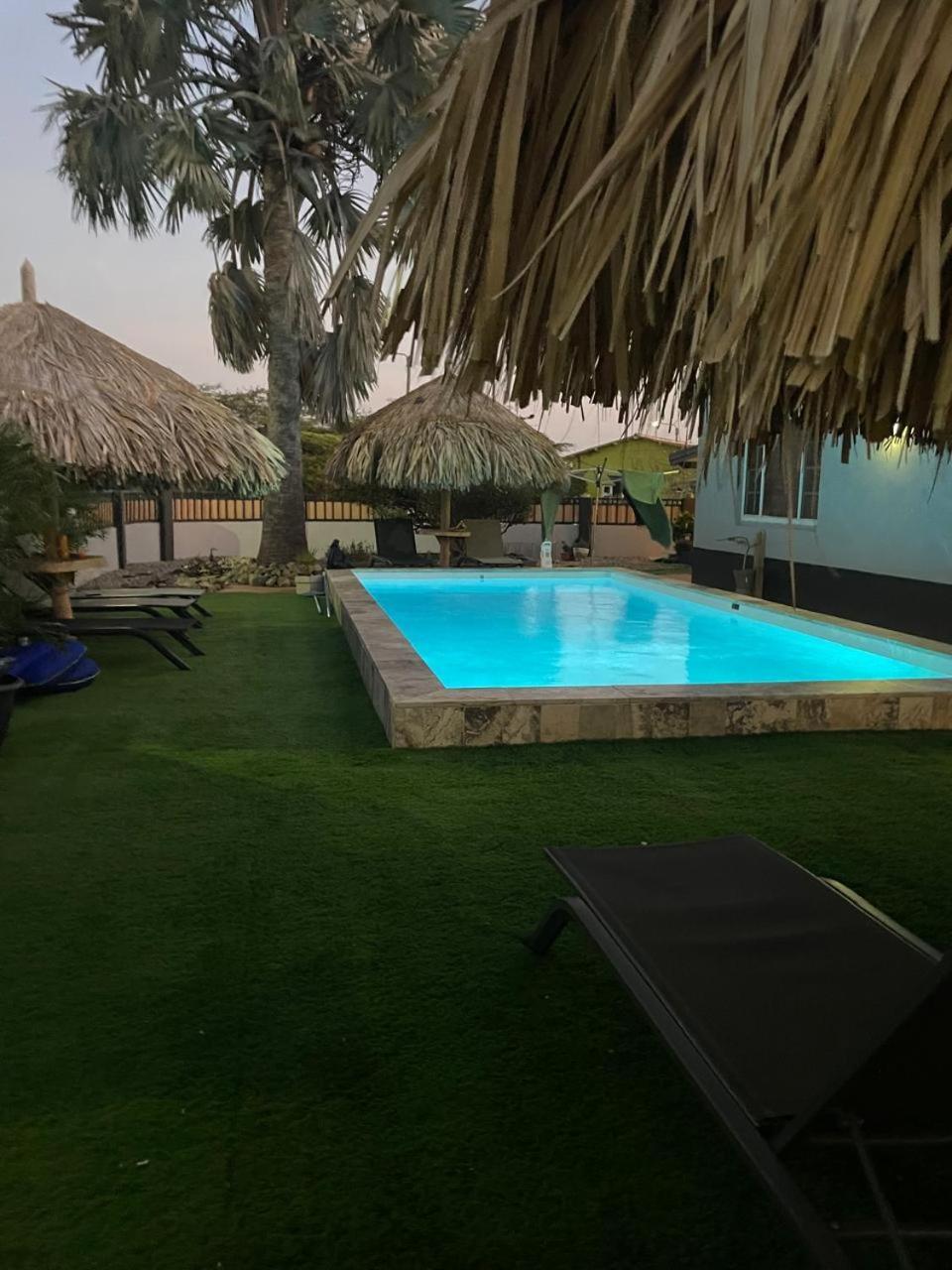 Palmhouse Apartments Aruba 1- 4 Persons Savaneta Zewnętrze zdjęcie