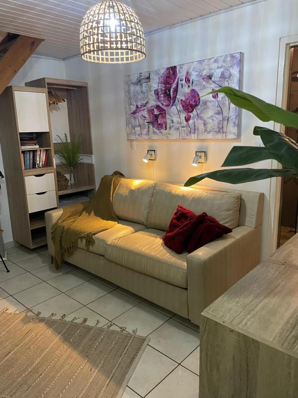 Palmhouse Apartments Aruba 1- 4 Persons Savaneta Zewnętrze zdjęcie