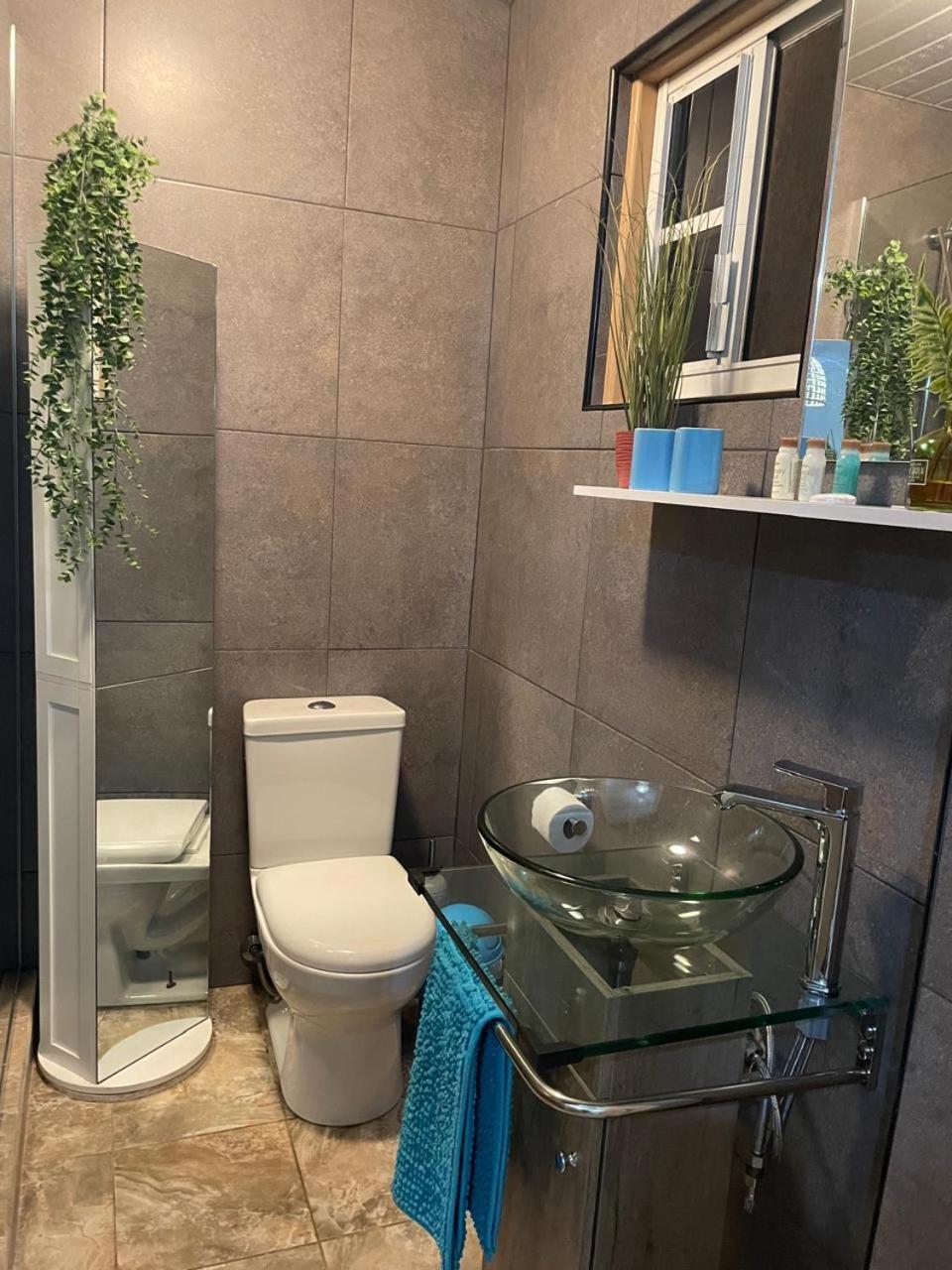 Palmhouse Apartments Aruba 1- 4 Persons Savaneta Zewnętrze zdjęcie