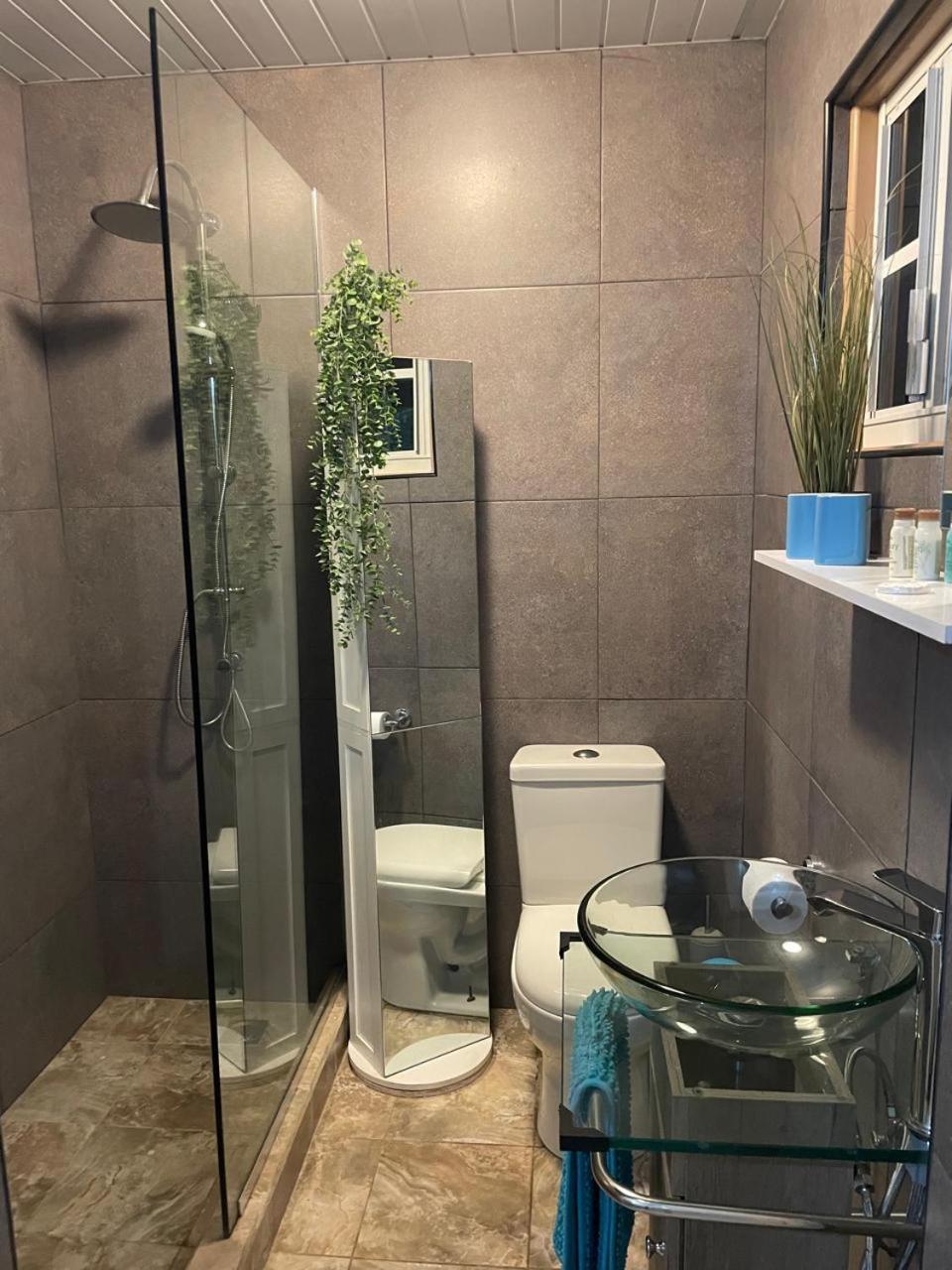 Palmhouse Apartments Aruba 1- 4 Persons Savaneta Zewnętrze zdjęcie